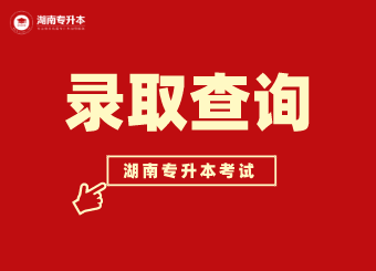 湖南專升本錄取通知書上都有什么？