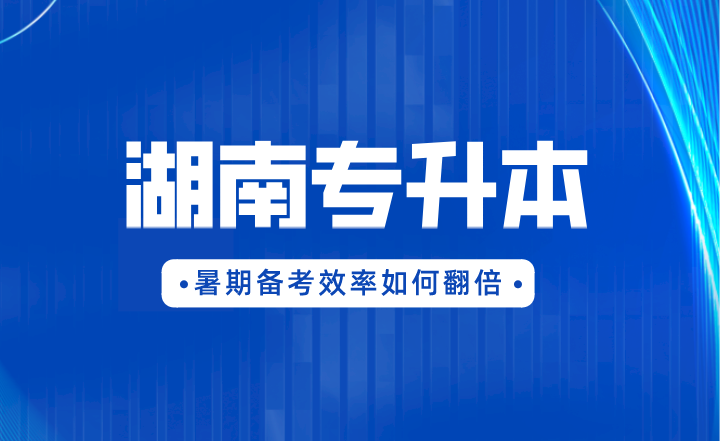 2023年湖南統(tǒng)招專升本大學語文練習題