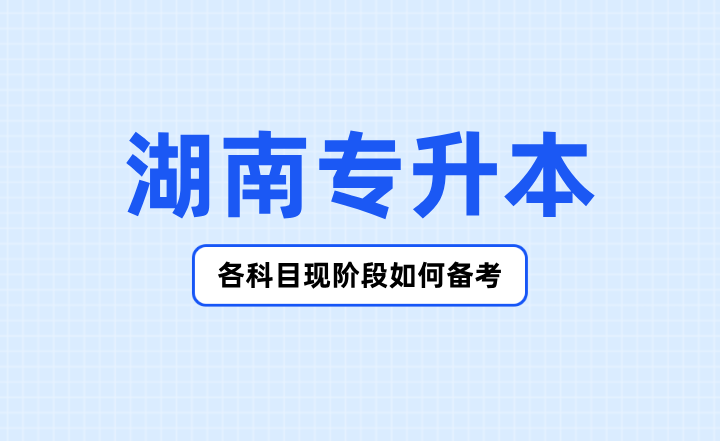 2024年湖南專(zhuān)升本各科目現(xiàn)階段如何備考？