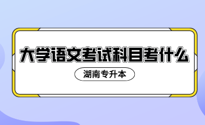 2024年湖南專升本大學語文考試科目考什么