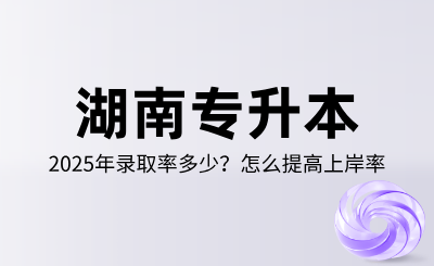 2025年湖南專升本錄取率多少？怎么提高上岸率？