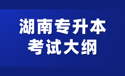 2025年湖南專升本專業綜合考試大綱匯總